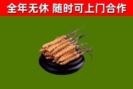 犍为县烟酒回收冬虫夏草.jpg